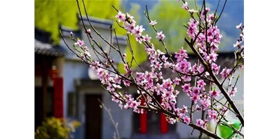 陽(yáng)春三月，臺(tái)群精機(jī)一大波展會(huì)即將來(lái)襲，您準(zhǔn)備好了嗎？